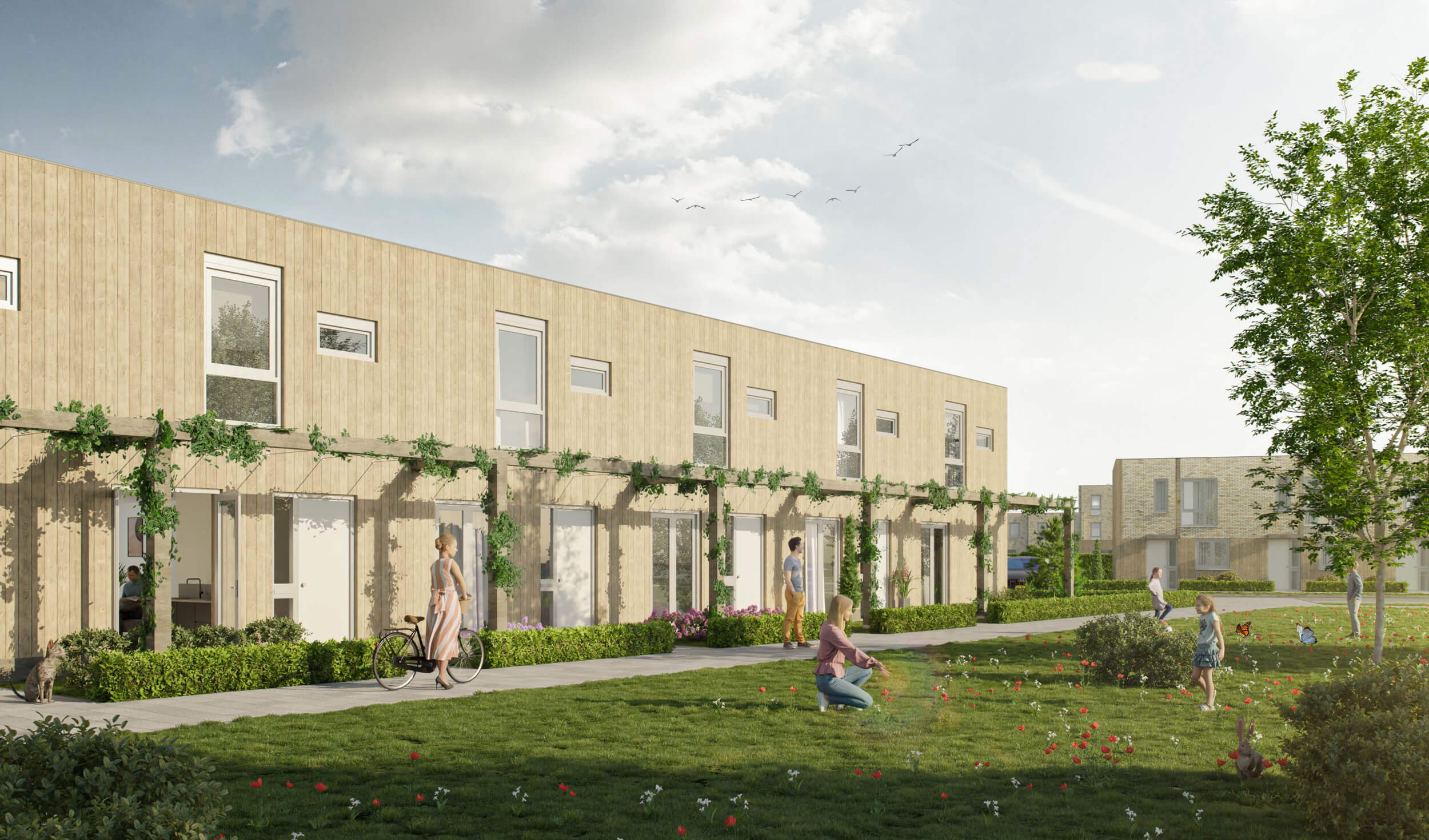 Kreekvelden in Oosterwold